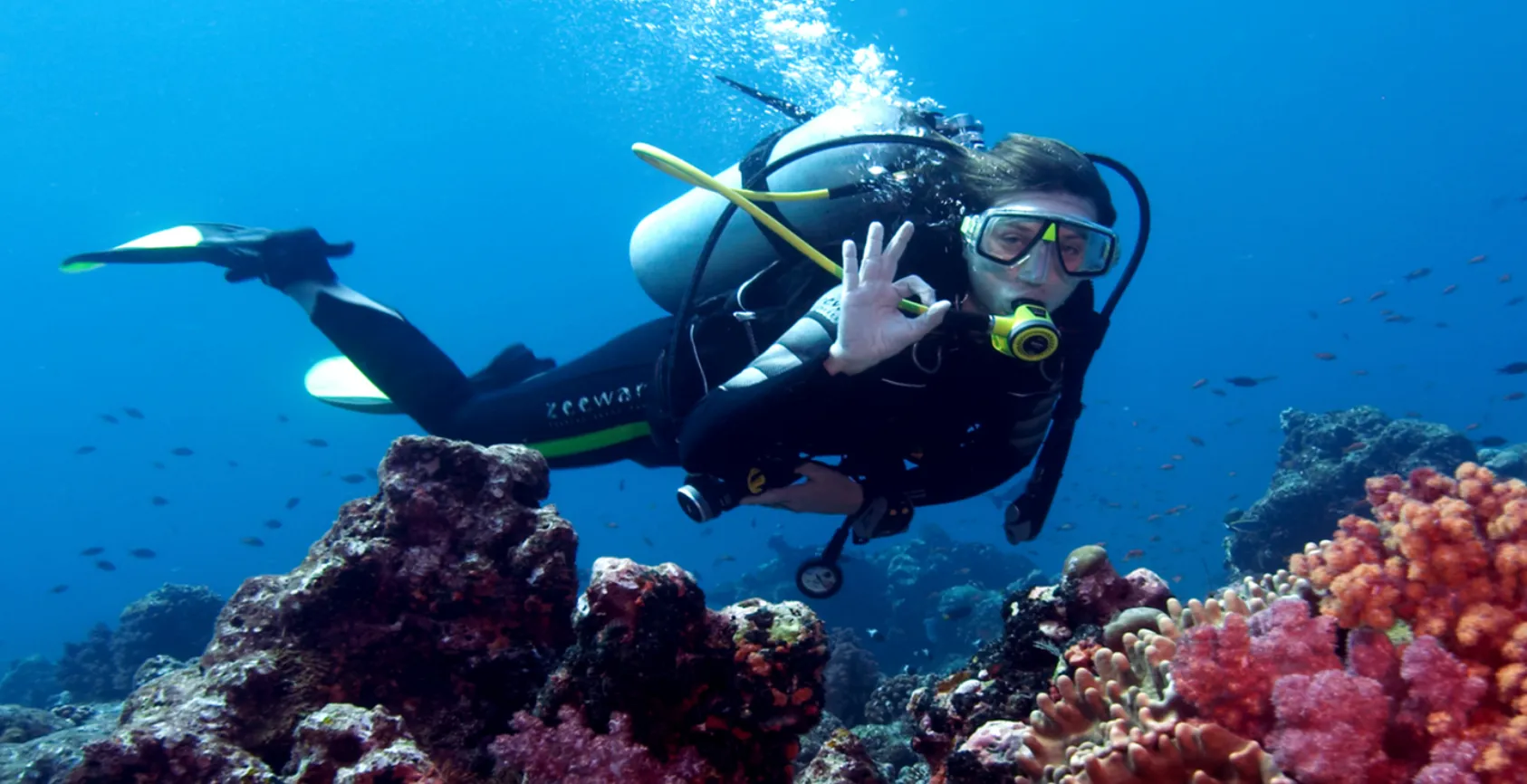 cursos-y buceo-en-pelicano-sports-punta-cana-scuba-finders