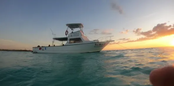 dive-with-martin-scuba-finders-cozumel-mexico