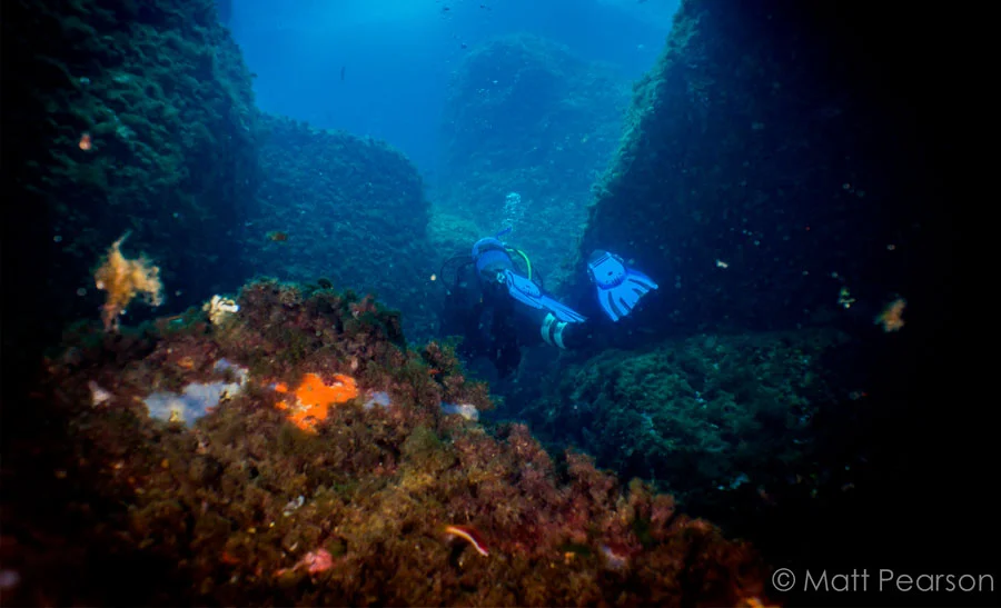 canon-albatros-diving-mallorca