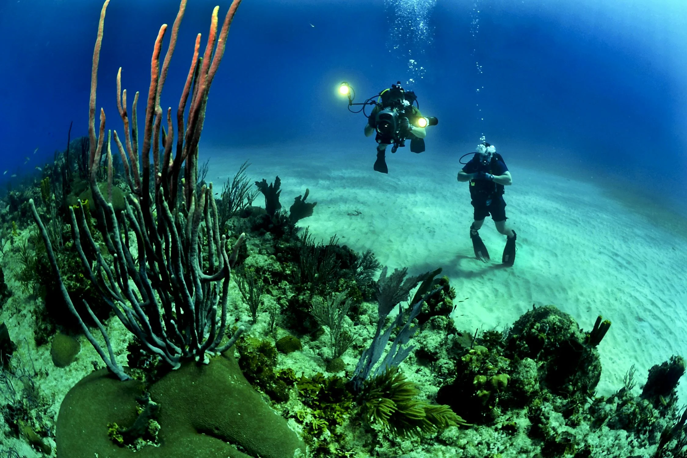Scuba Finders te lleva a Maldivas atolon-baa-diving
