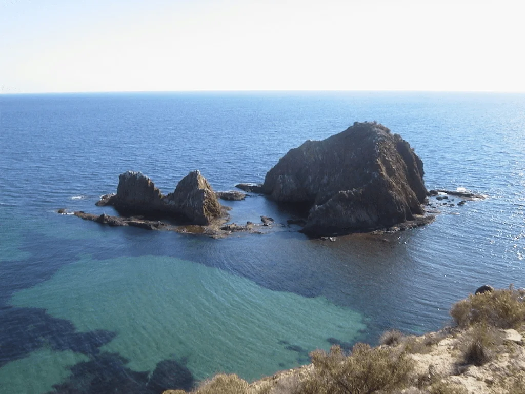 Buceo Calamar Gigante Almería buceo-calamar-gigante-almeria