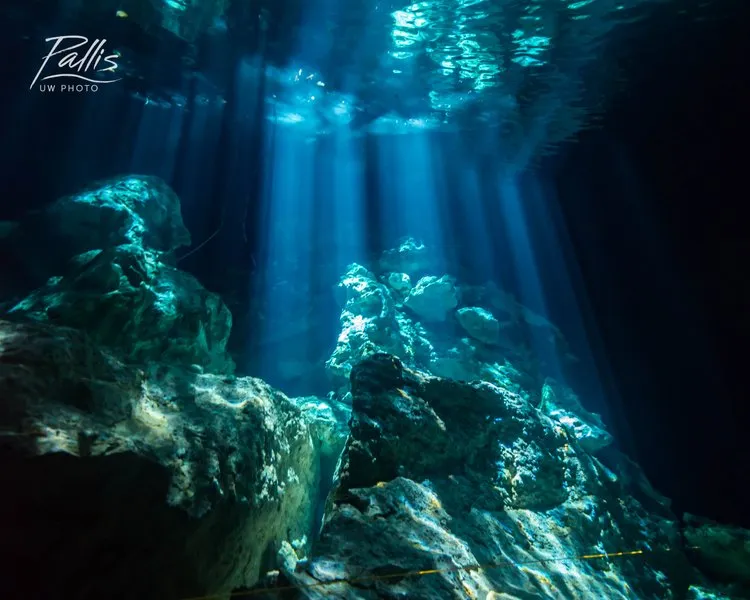 bucea con scuba finders y diversity diving en cenotes de méxico cenote-ponderosa-buceo-mexico-diversity-diving-scuba-finders