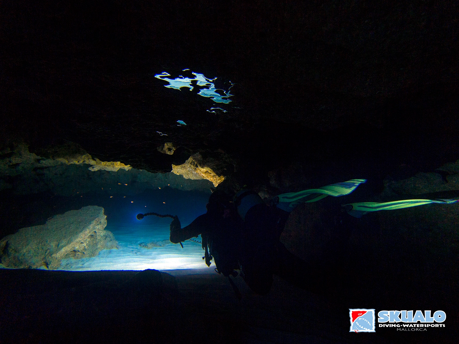 Inmersión en Mallorca en Skualo Skualo-diving-trips