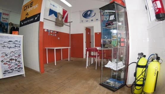 tienda 2 haliotis faial tienda 2 haliotis faial