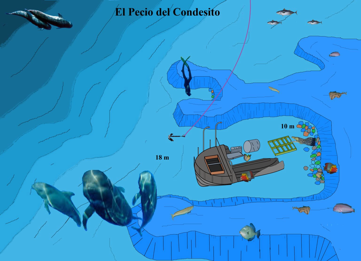 El Condesito Vibe Dive Tenerife El Condesito Vibe Dive Tenerife