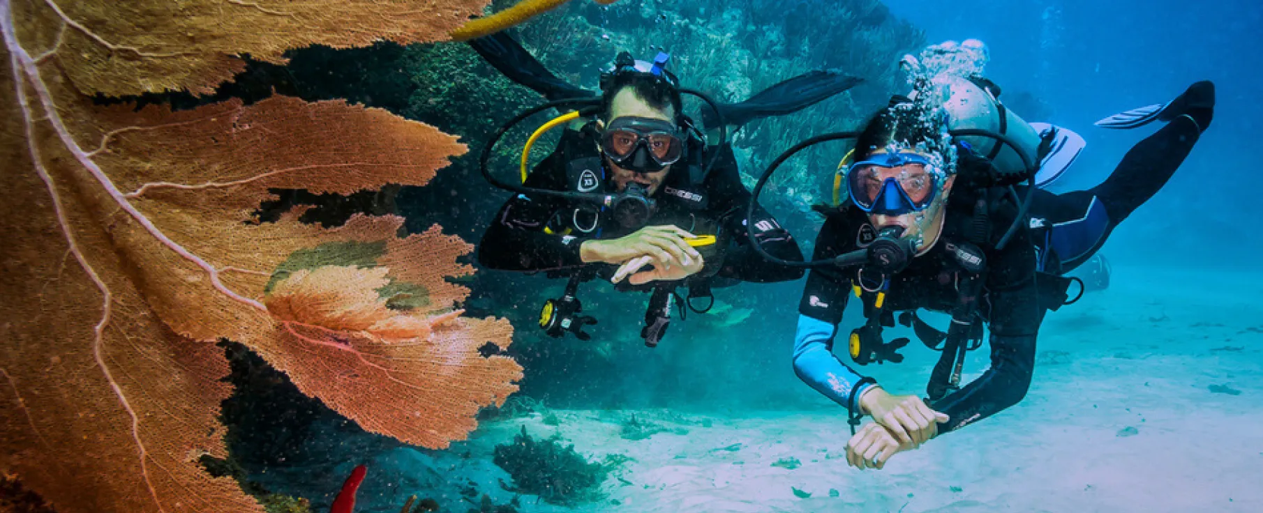 dune-cozumel-dive-center