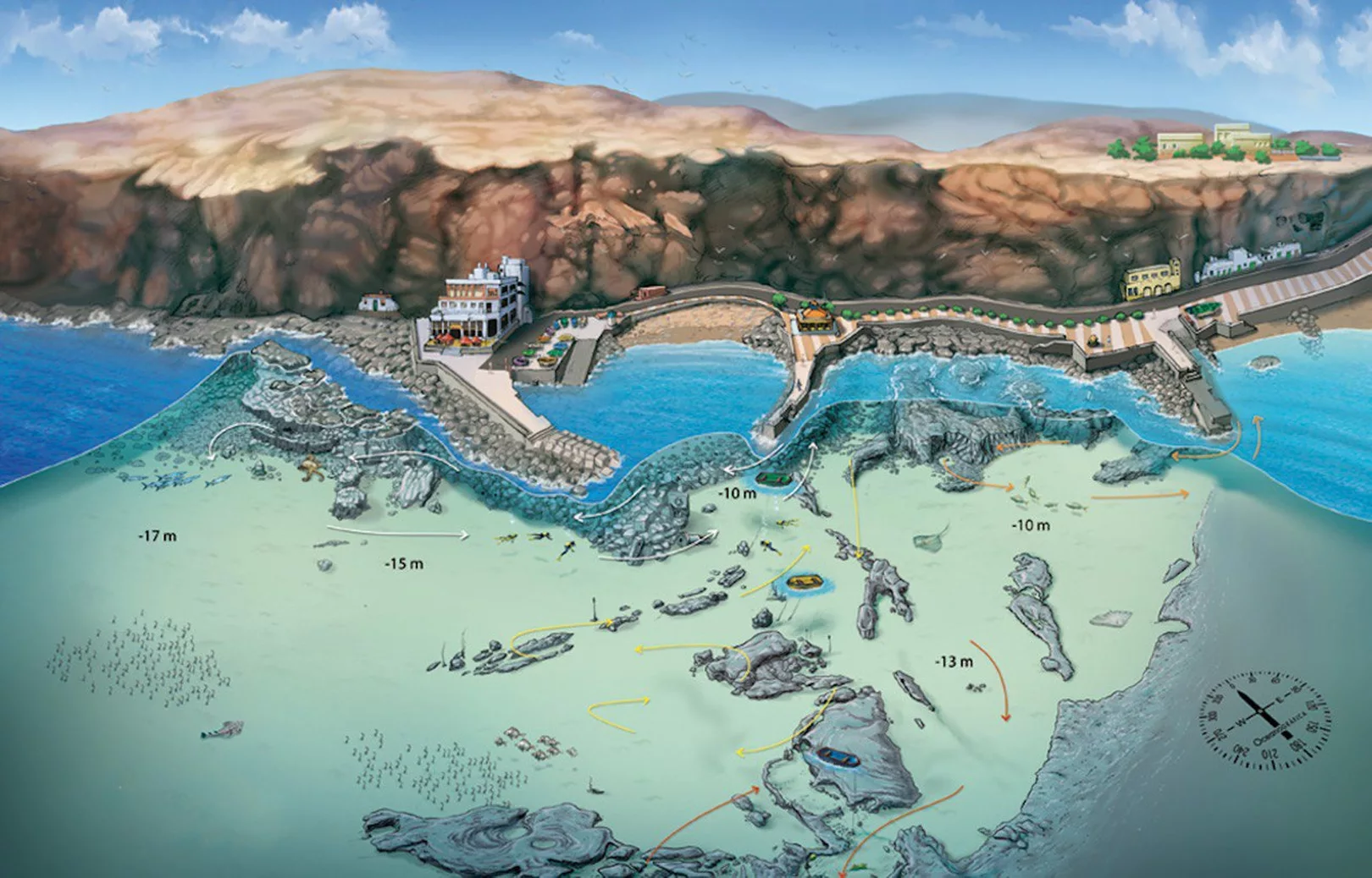 sardina del norte