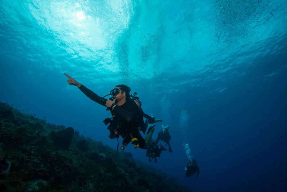 Buceo en el oceano con diversity divers Buceo en diversity divers