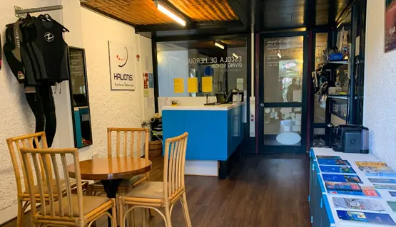 tienda haliotis madeira