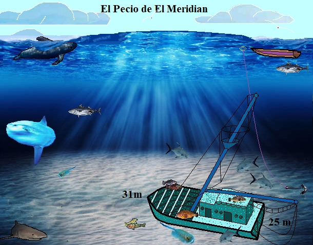 El Meridian Tenerife Vibe Dive El Meridian Tenerife Vibe Dive