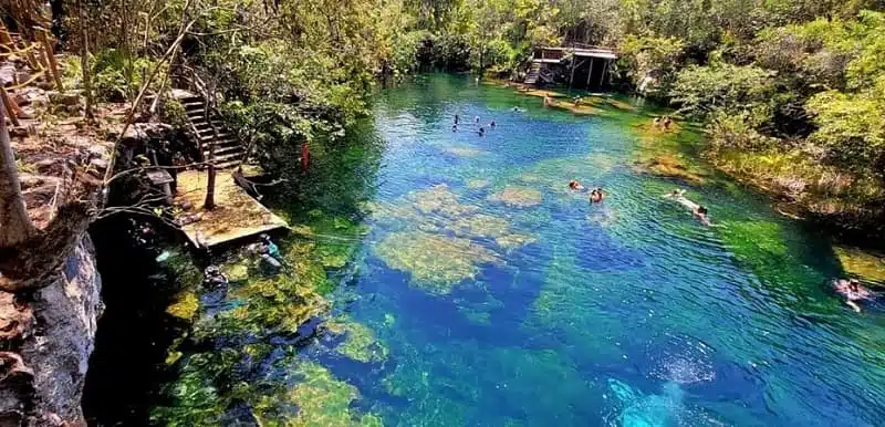 cenote jardín del edén