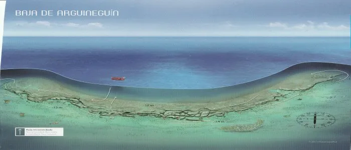 Arguenin Karapat Dive Gran Canaria Arguenin Karapat Dive Gran Canaria