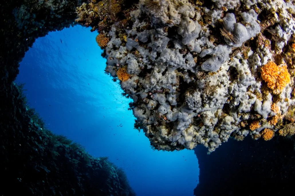 buceo-binibeca-diving