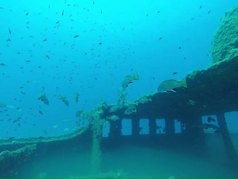 buceo-all-blue-diving-cambrils