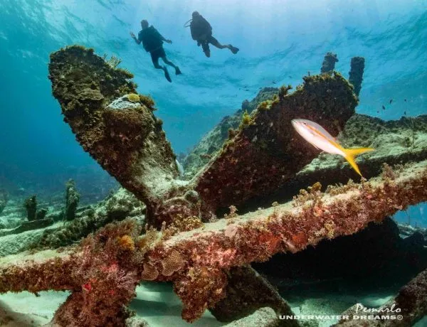 buceo-bayahibe-scuba-finders