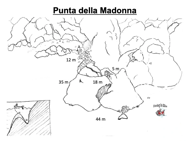 cabo madonna cabo madonna