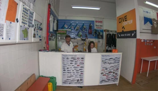 tienda haliotis faial tienda haliotis faial