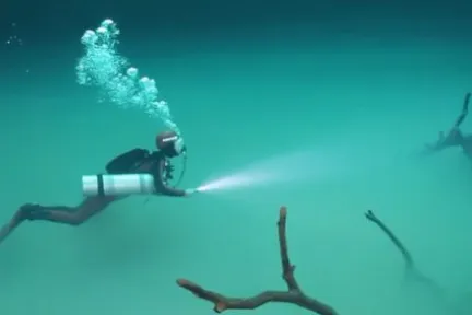 buceo en cenotes mexicanos con Scuba Finders