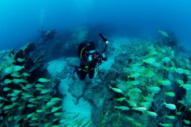 Inmersion La Graciosa Divers inmersion-la-graciosa-divers