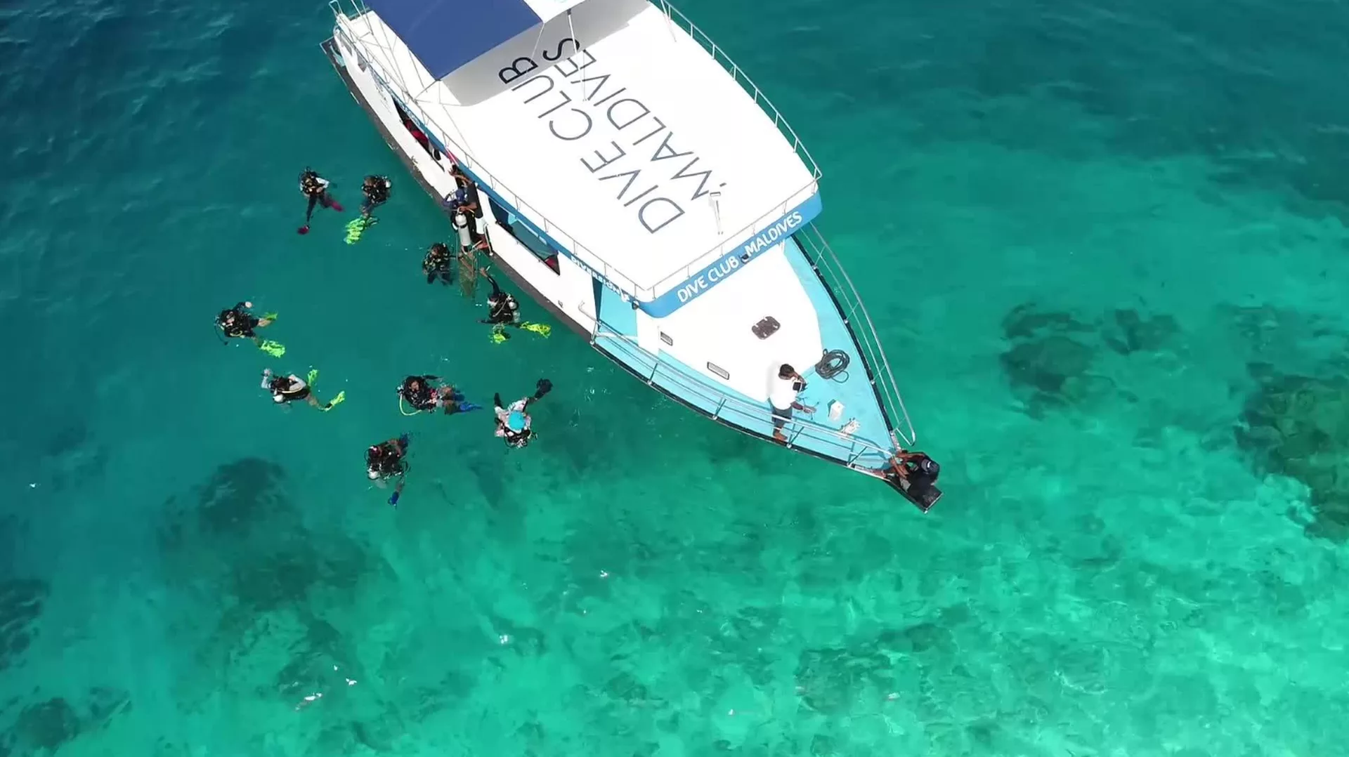 dive-club-boat