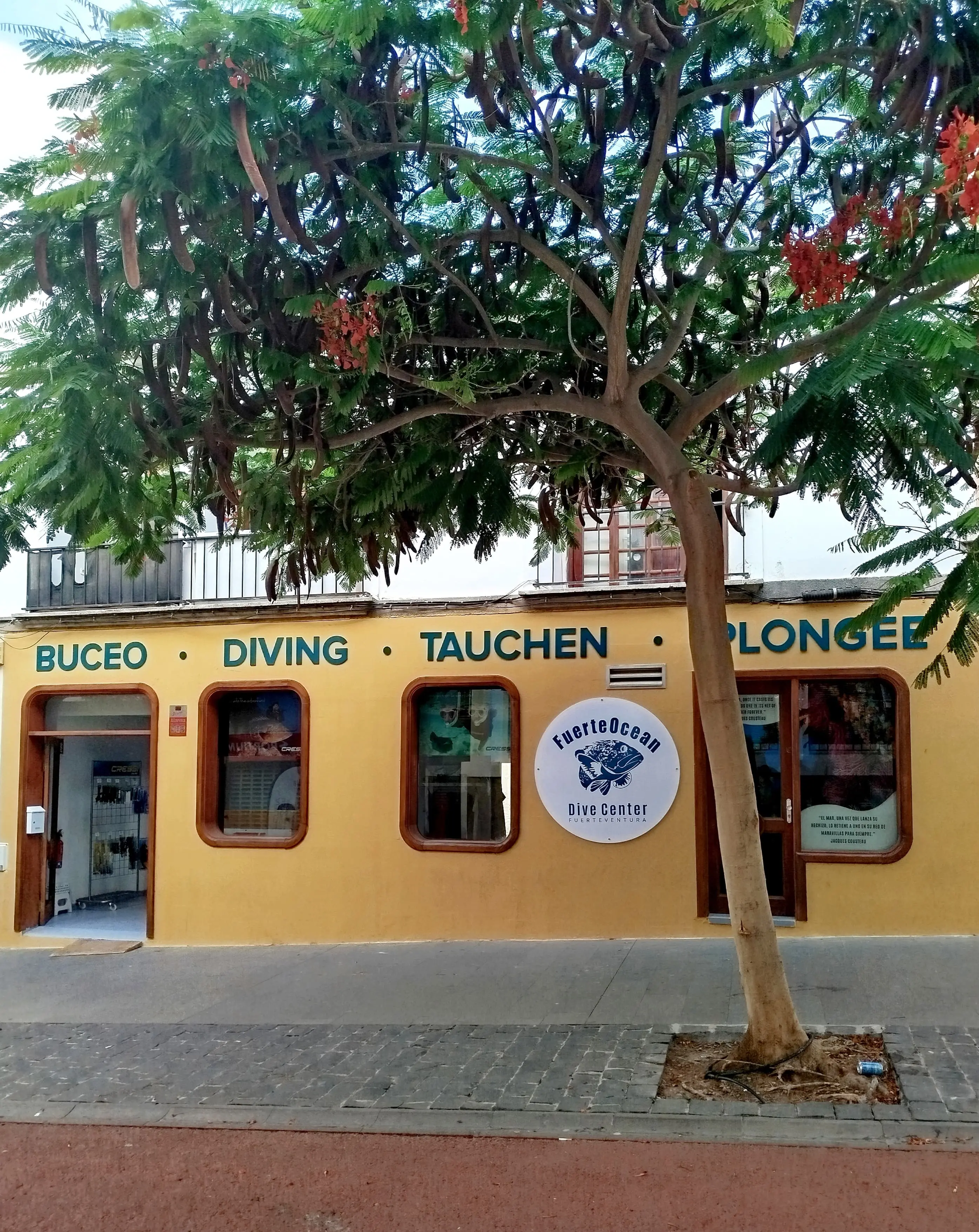 entrada