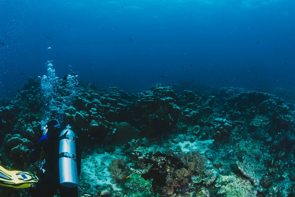 Inmersion Buceo Aguadulce Almeria inmersion-buceo-aguadulce-almeria