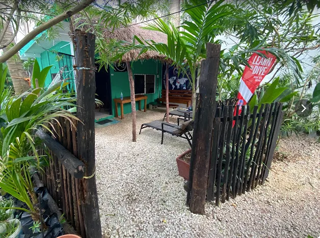 dune-playa-del-carmen-mexico-scuba-finders