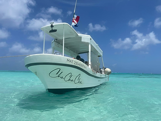 Barco Cha Cha Cha Divers barco-cha-cha-cha-diver-cozumel