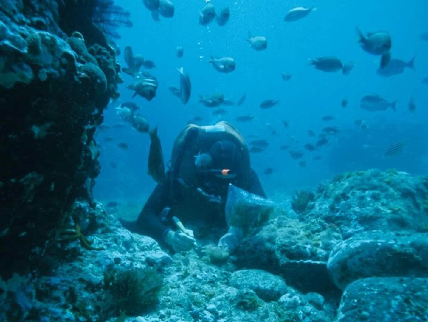 Inmersion Buceo Aguadulce Almeria inmersion-buceo-aguadulce-almeria