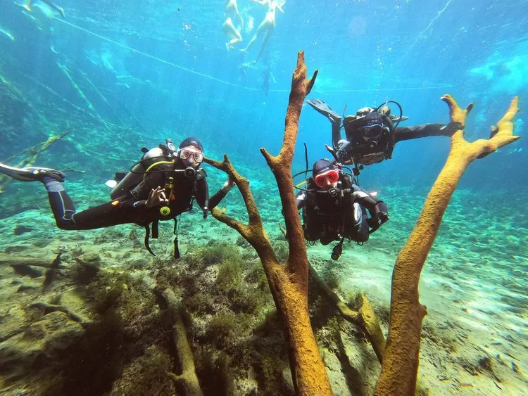 Buceo en méxico con Scuba Finders y diversity Diving buceo-en-carwash-con-diversity-diving-y-scuba-finders