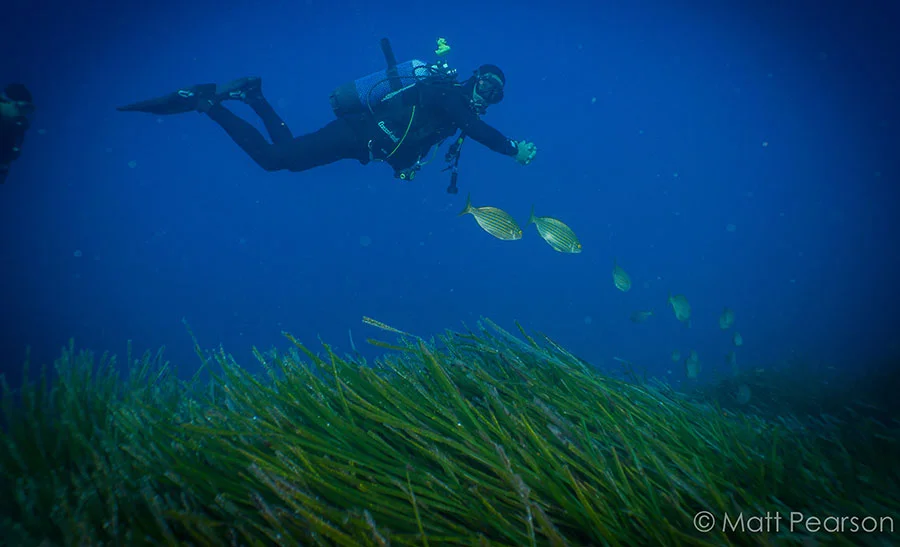 Inmersion La Barba Albatros Diving Mallorca