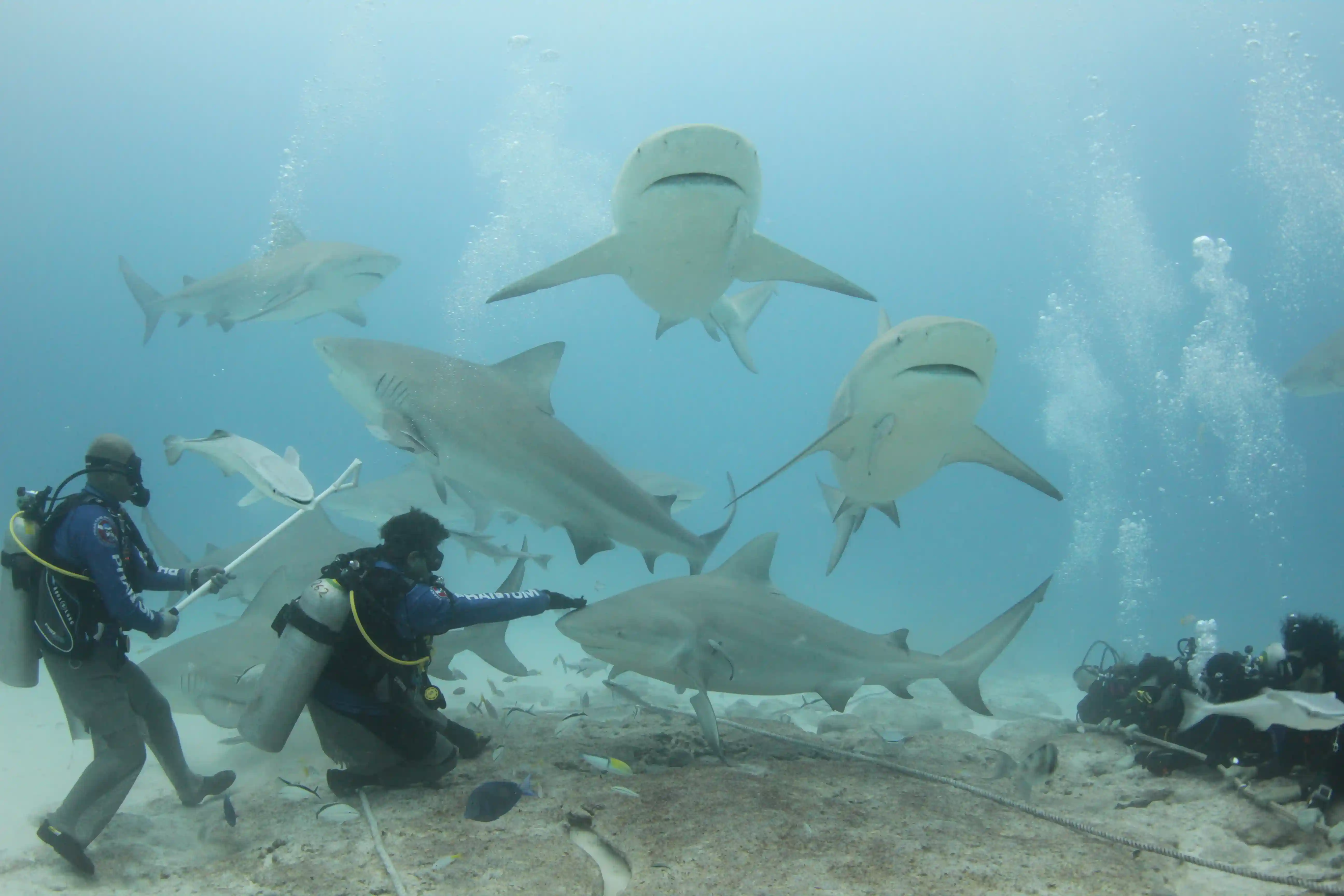 El buceo en América
