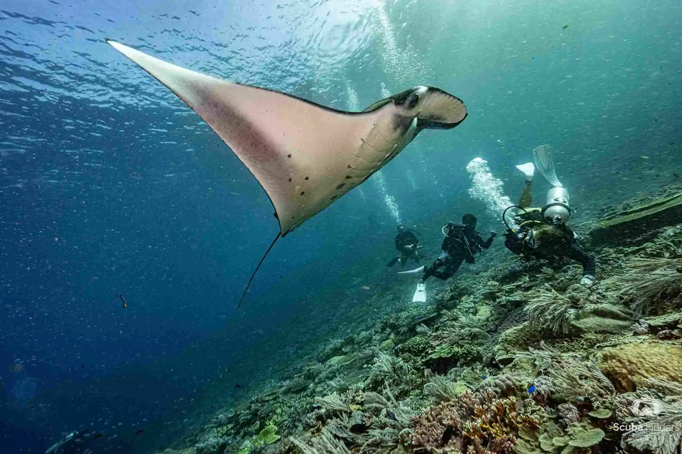 El buceo en Asia