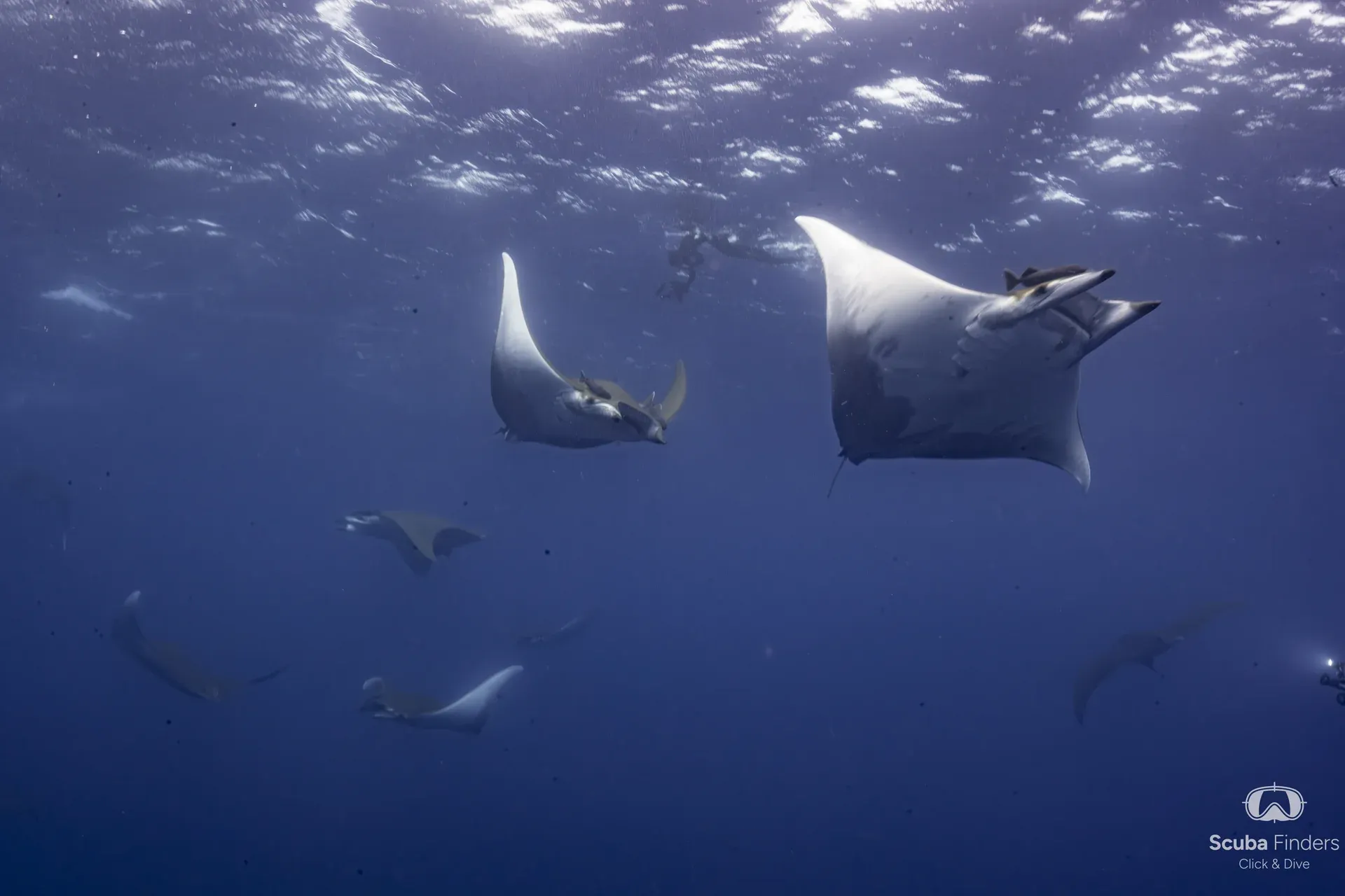 Azores, la joya del Atlántico – imagen 2