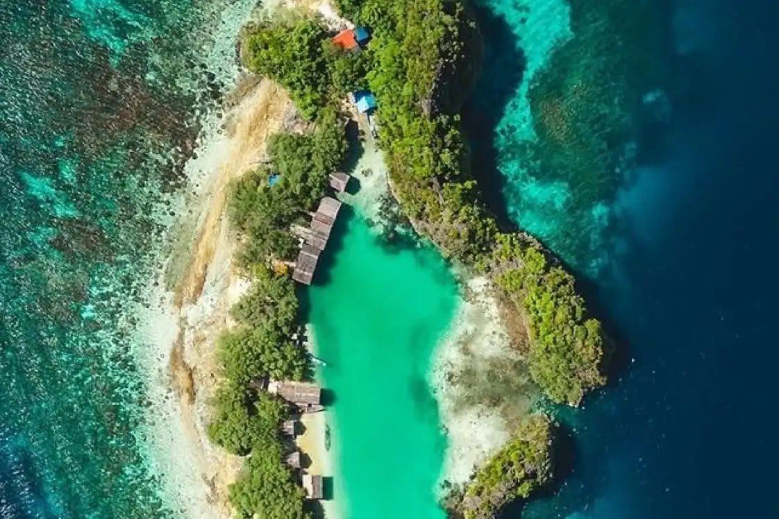 Raja Ampat 8 noches en el Blue Pearl – imagen 6
