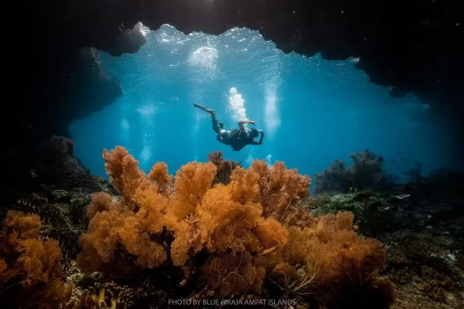 Raja Ampat 8 noches en el Blue Pearl – imagen 1