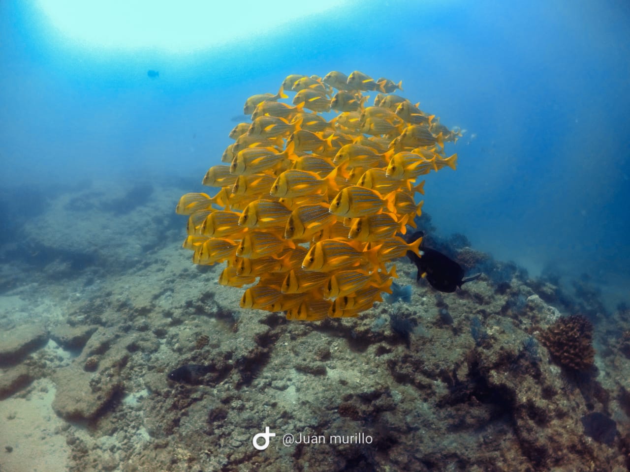 Expedición Baja California – imagen 6