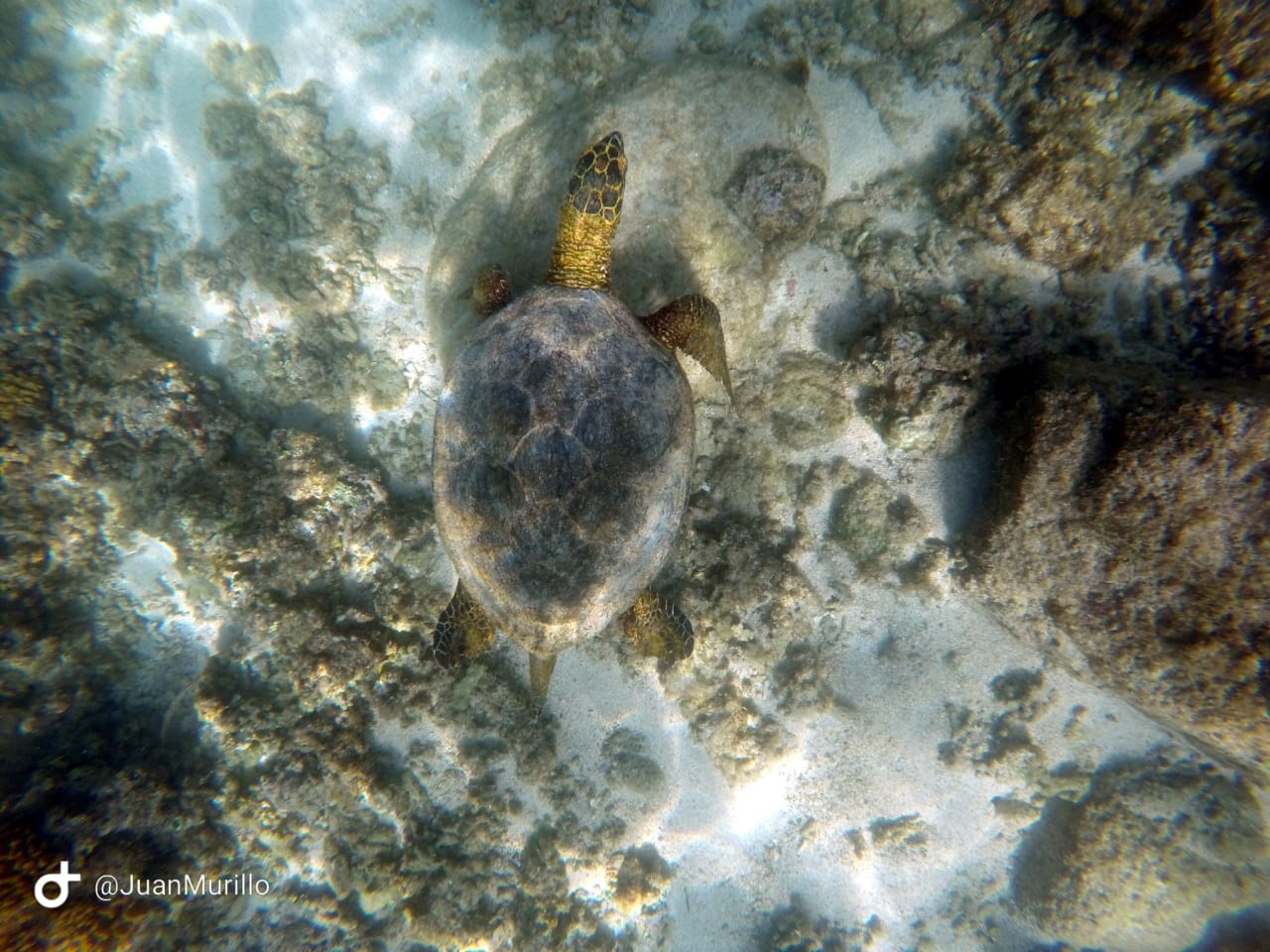 Expedición Baja California – imagen 5