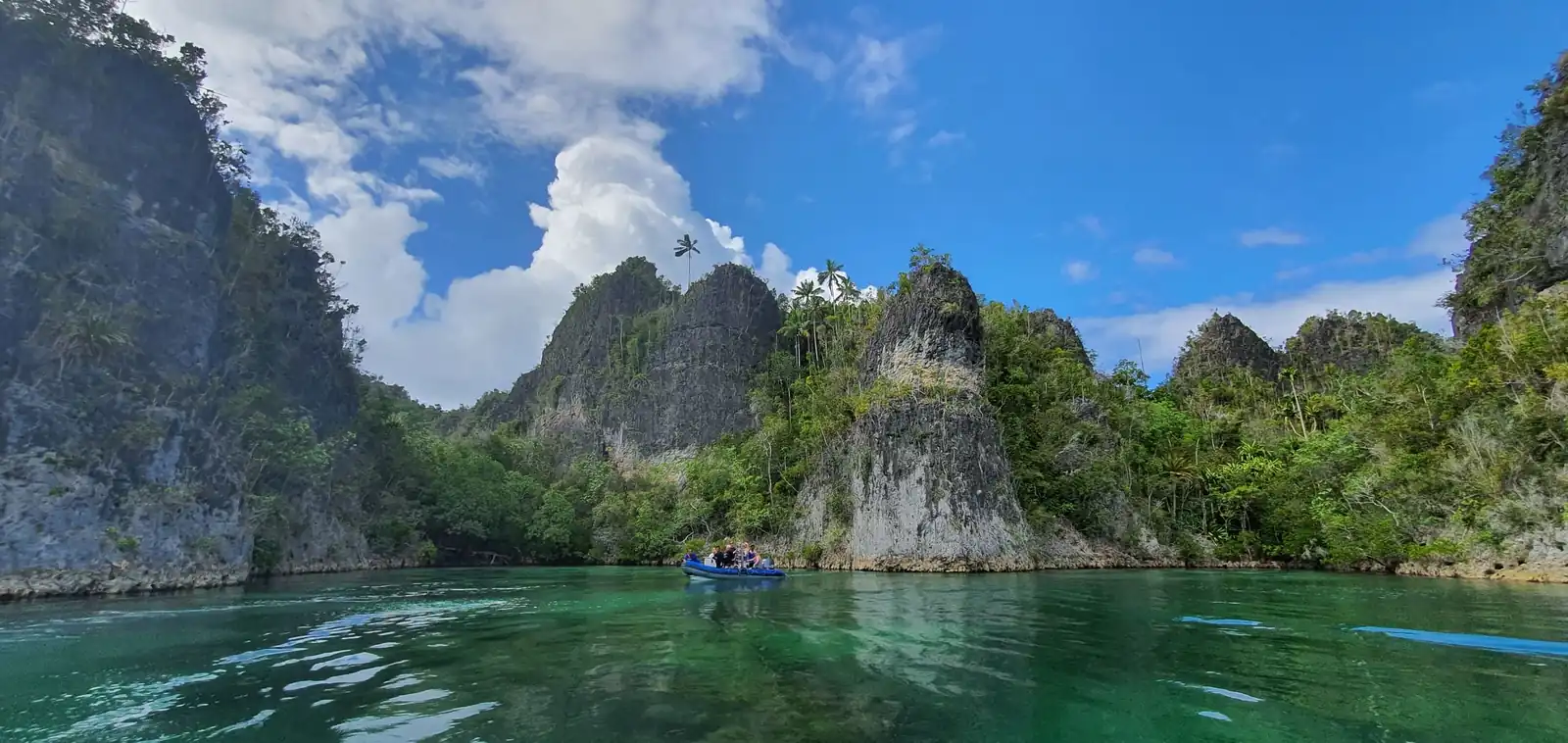 Raja Ampat 7 noches en el Indo Master – imagen 4