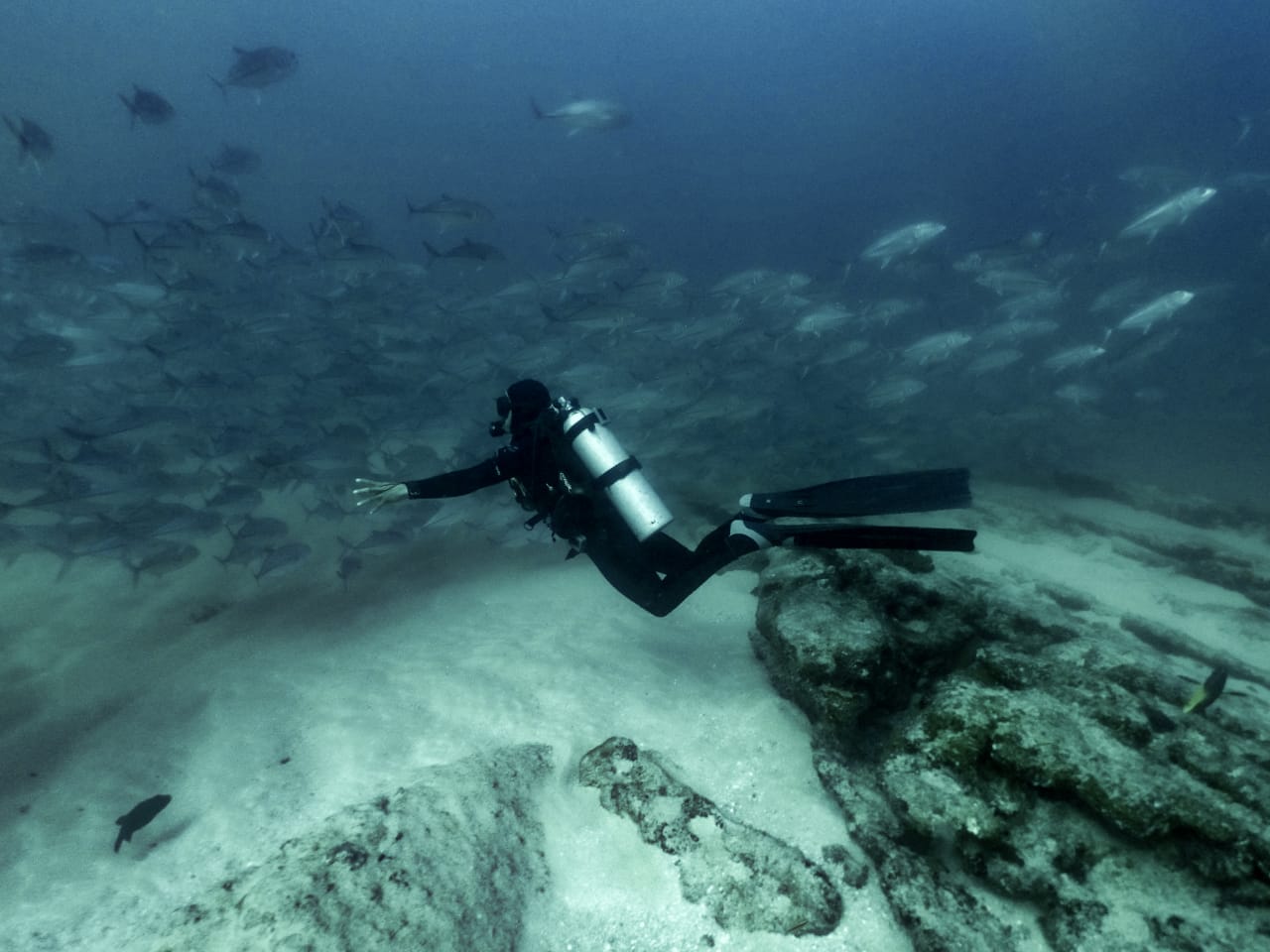 Expedición Baja California – imagen 4