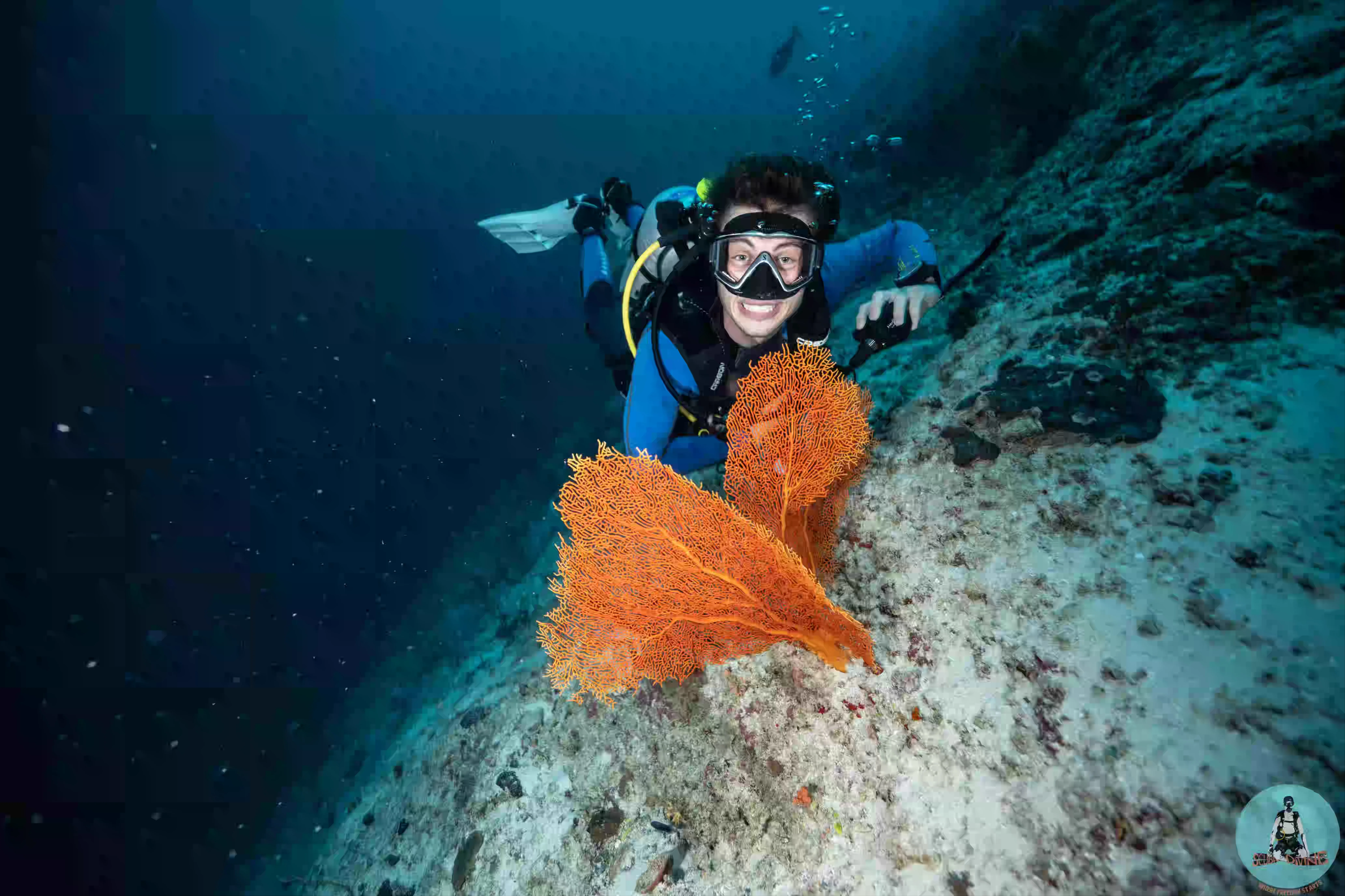 Try Dive