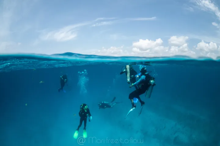 Double dive in Playa del Carmen