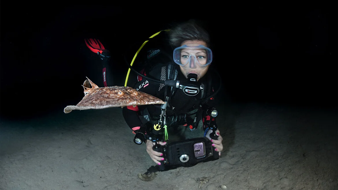 night-dive-specialty-mourosub-cantabria