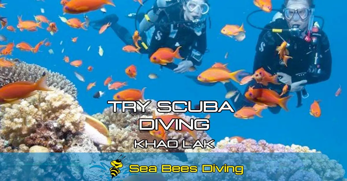 Try Scuba Diving – Khao-Lak