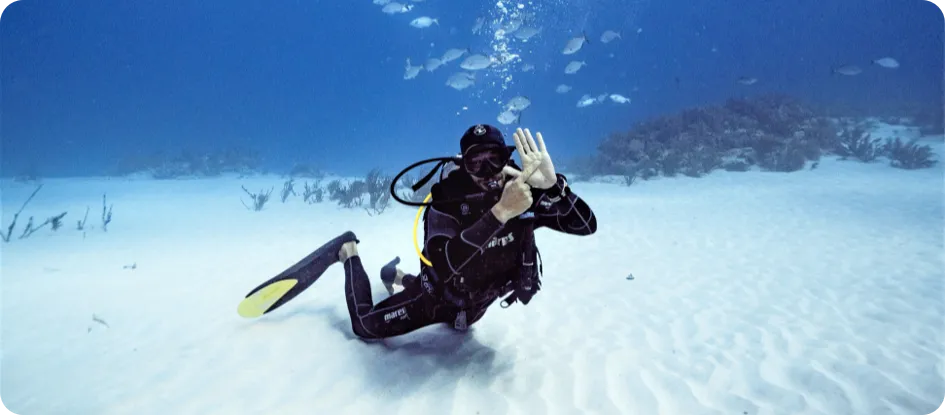 Scuba Diving in Mahahual - Costa Maya (Escalones, Dos ojos y 40 cañones / Connie’s Office, Balam kuh)