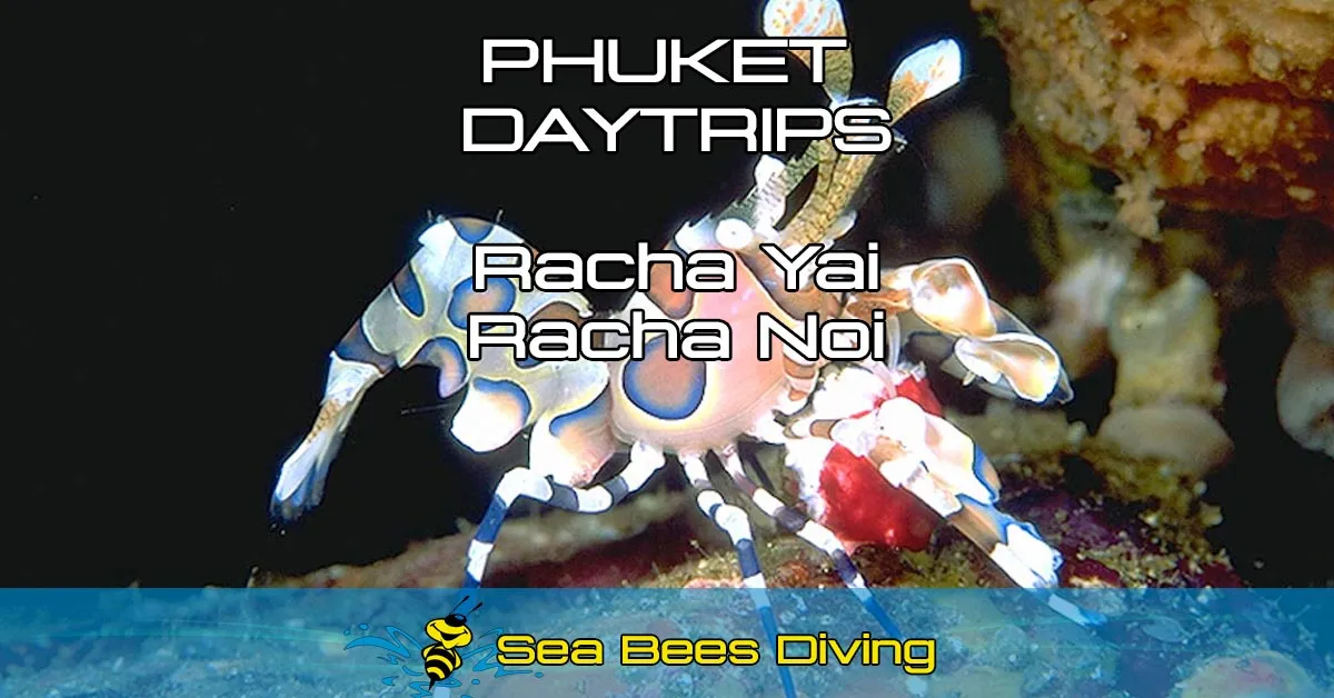 Daytrip to Racha Noi & Racha Yai - Phuket