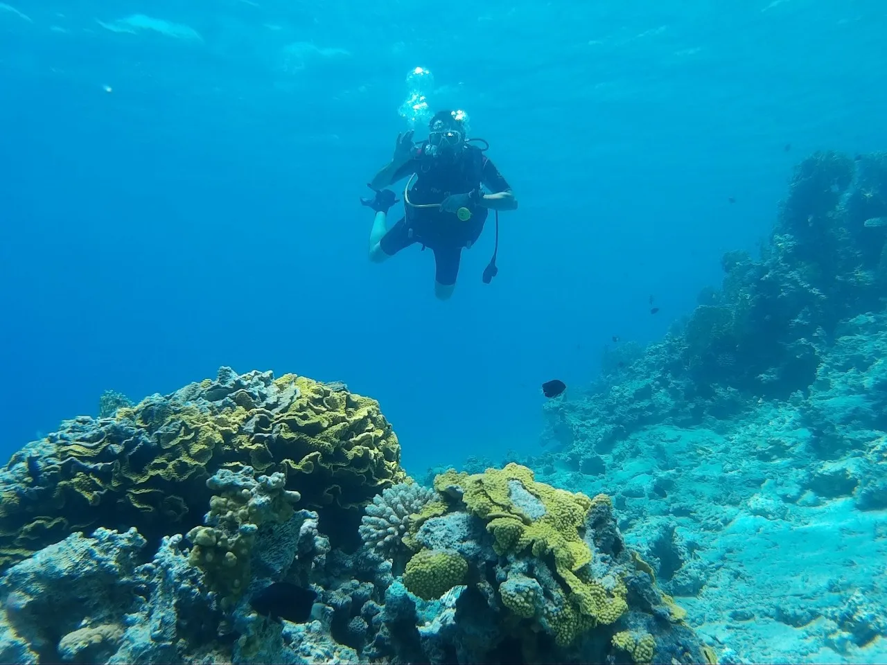 Discover scuba dive from shore