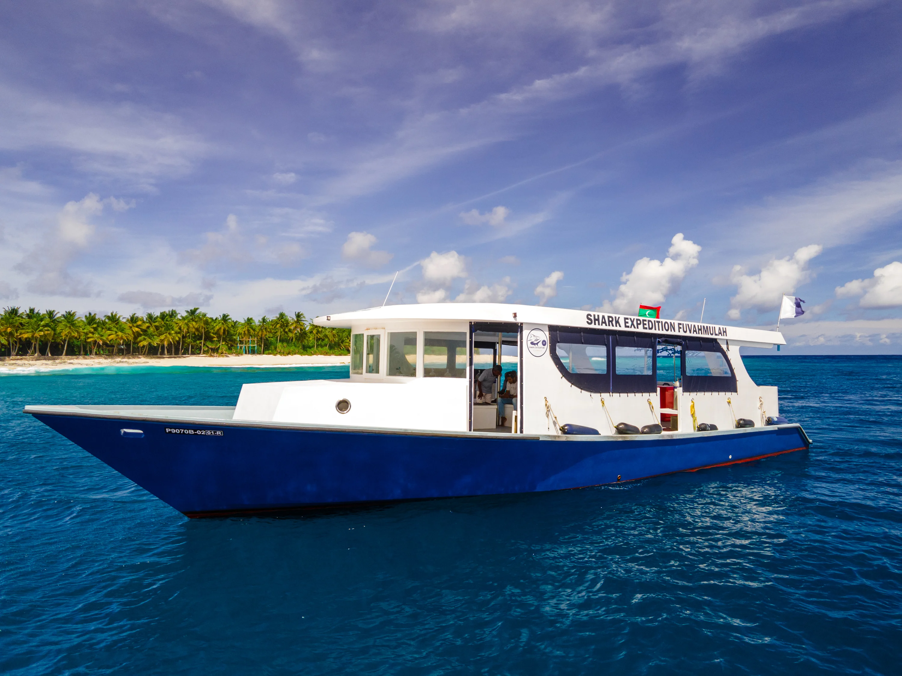 fuvahmulah-shark-dive-expeditions