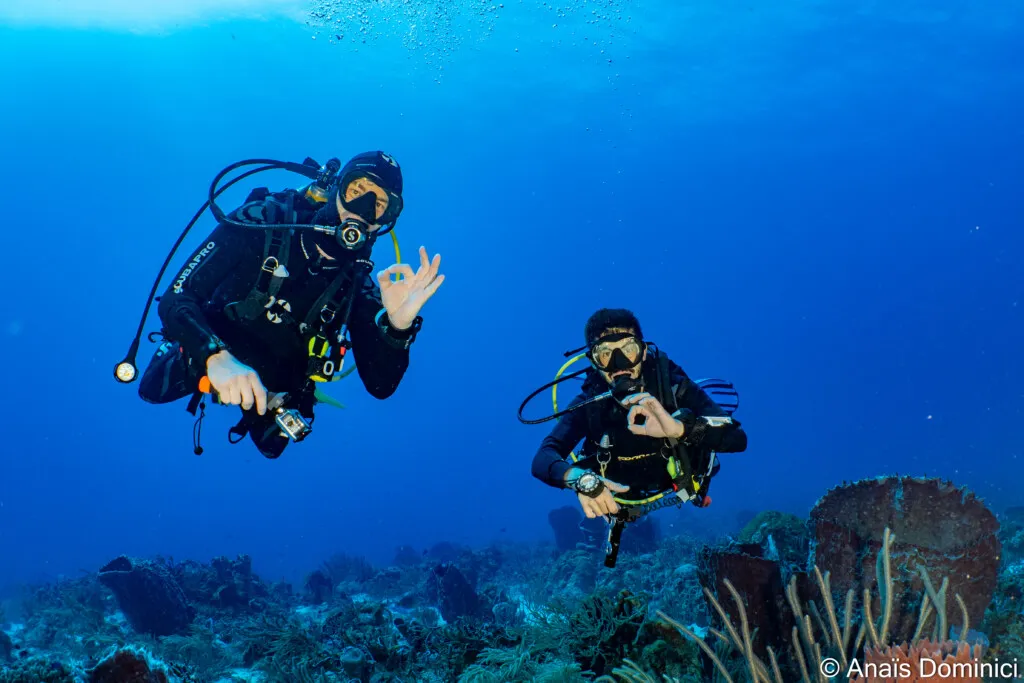Diving in Playa Del Carmen Reef