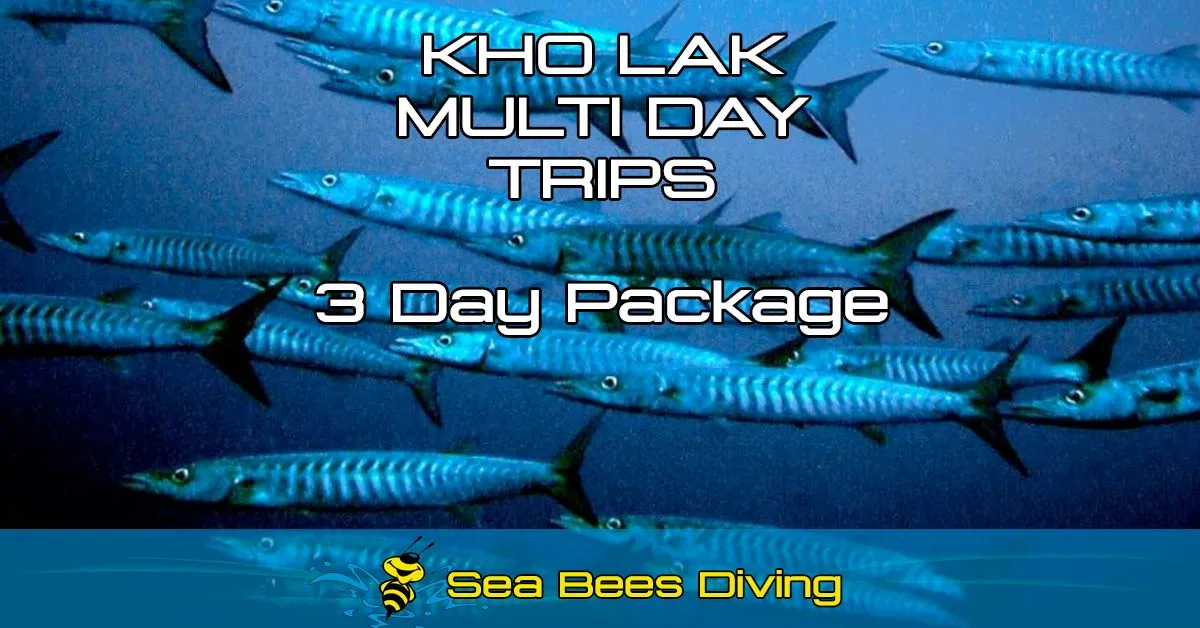 3 Day Dive Package - Khao Lak